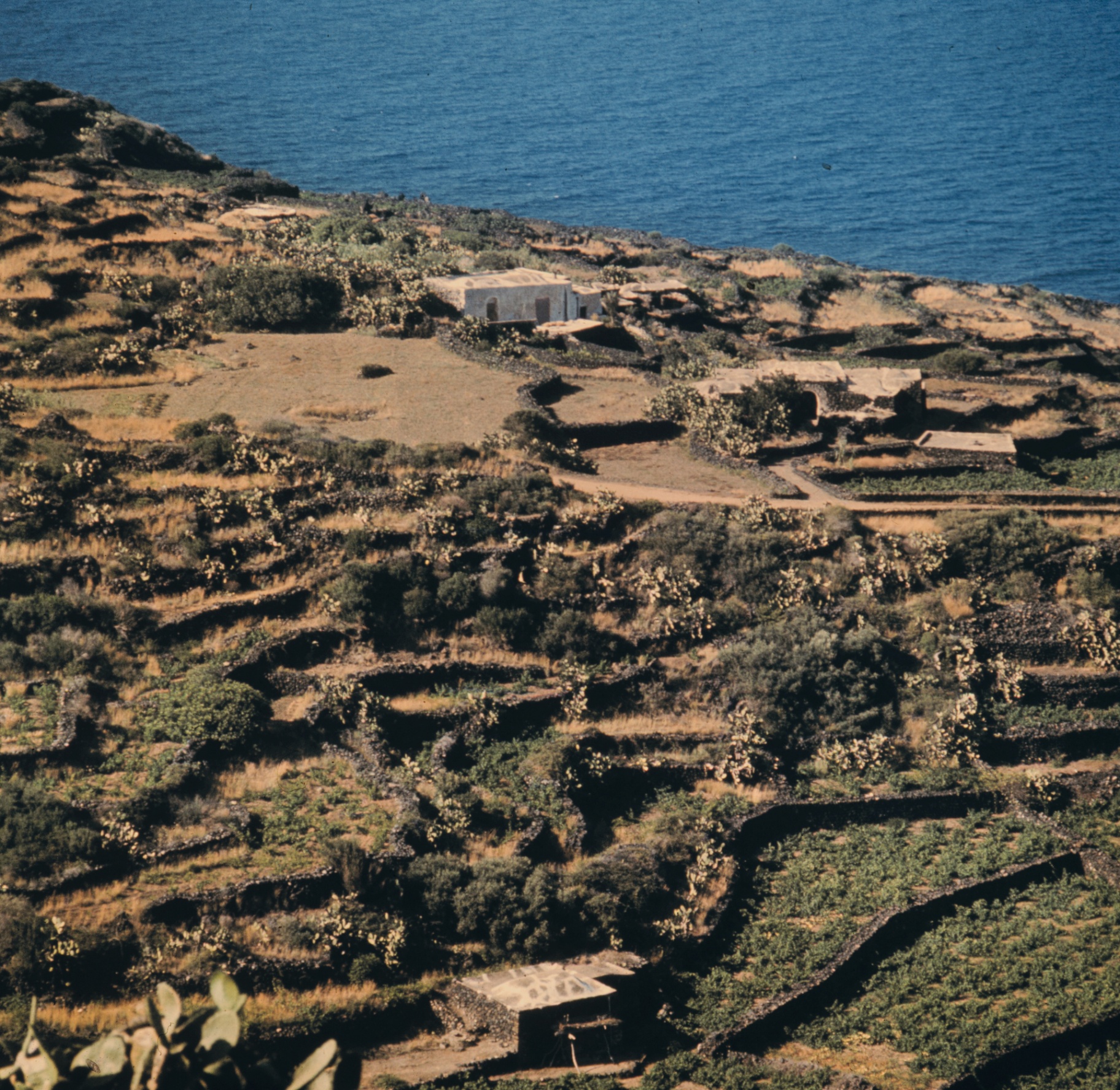 Coastal landscape of Pantelleria with dammusi, terraced fields and the sea