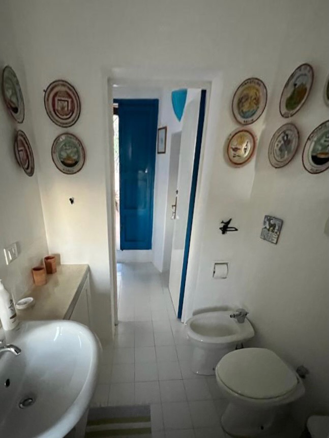 Stonehouse bathroom with hand-painted decorative plates and blue door