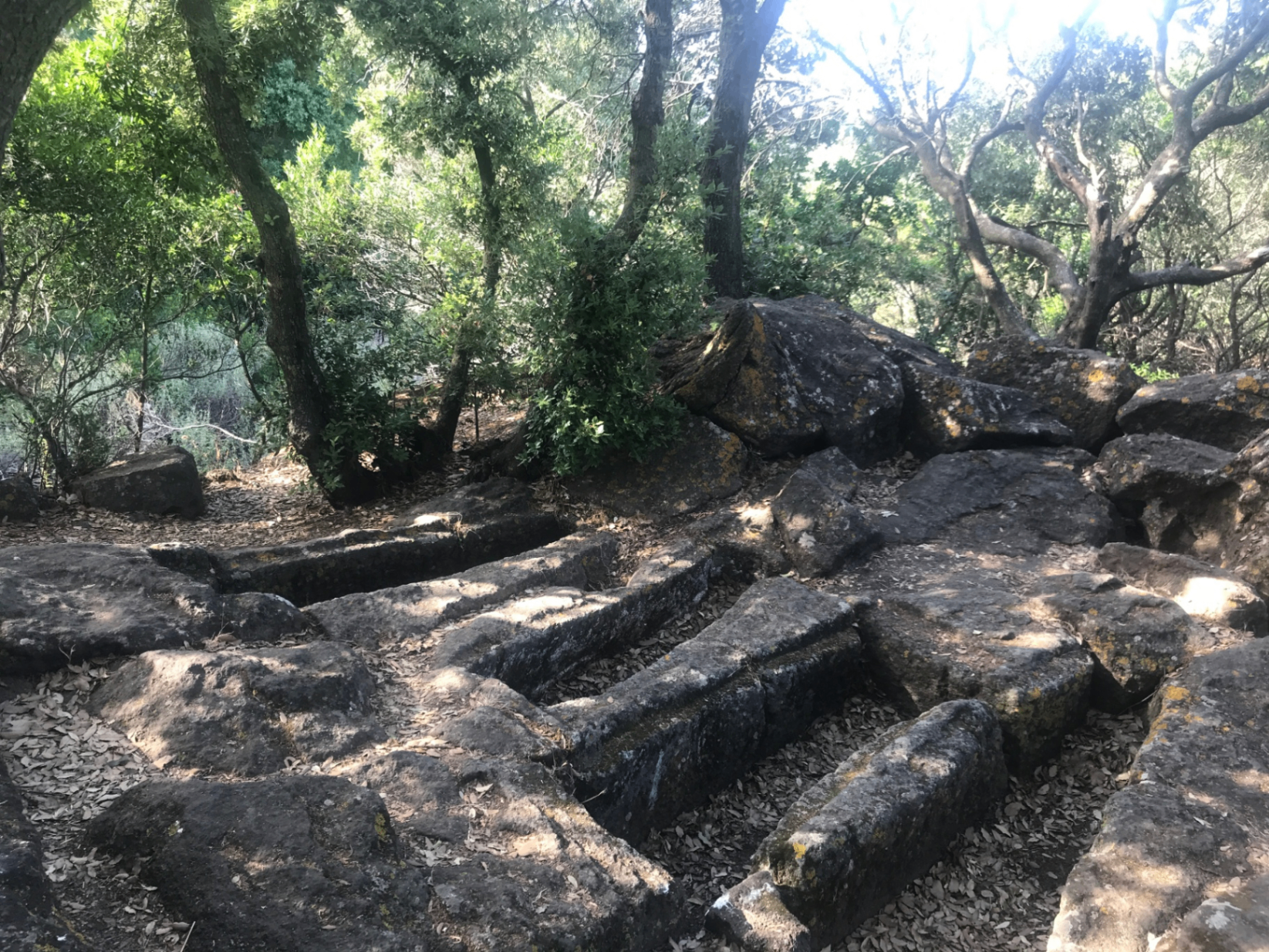 Ancient Phoenician rock-cut tombs in the woods