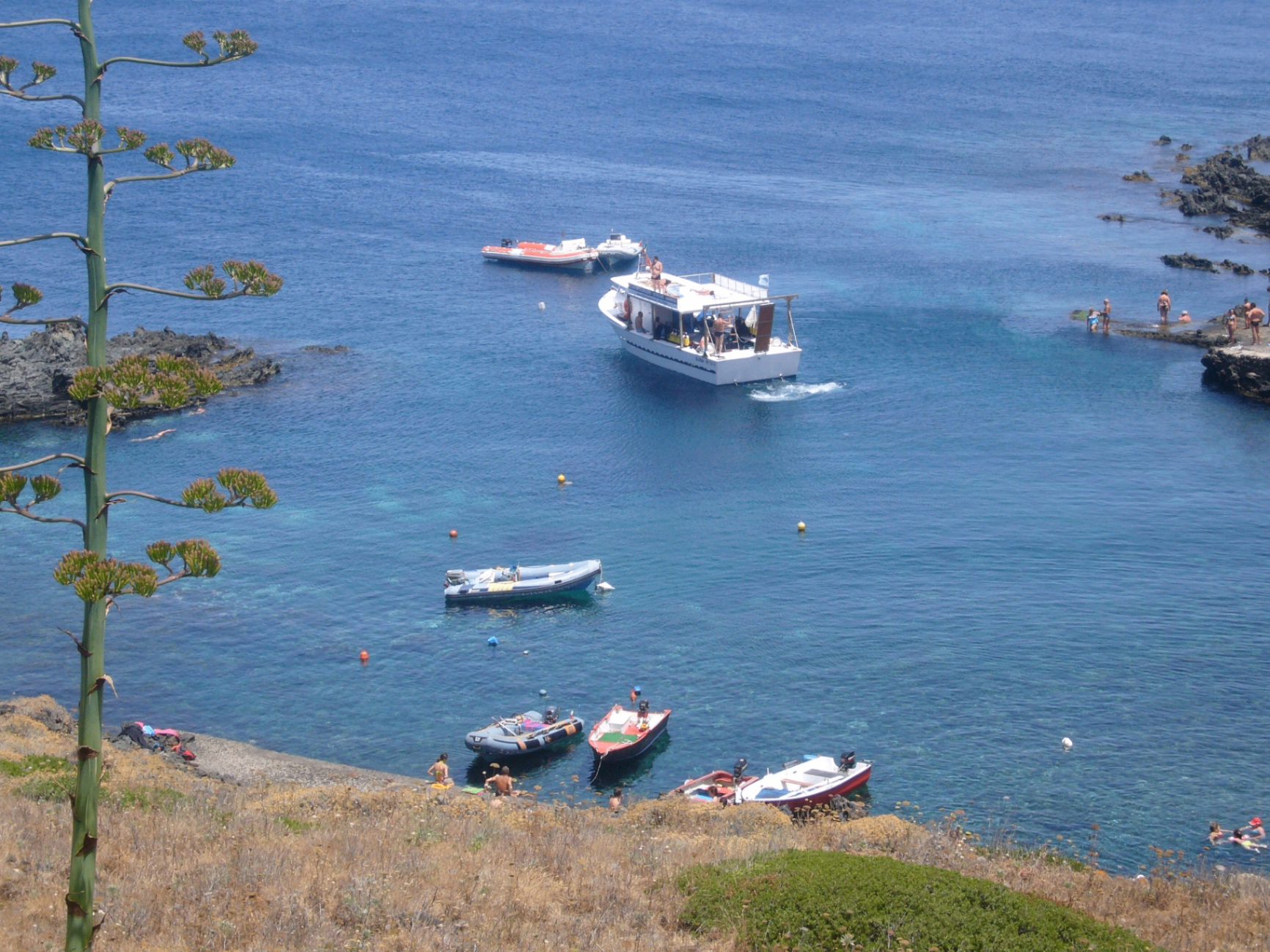Picturesque bay with agave plant, boats and swimmers in clear water