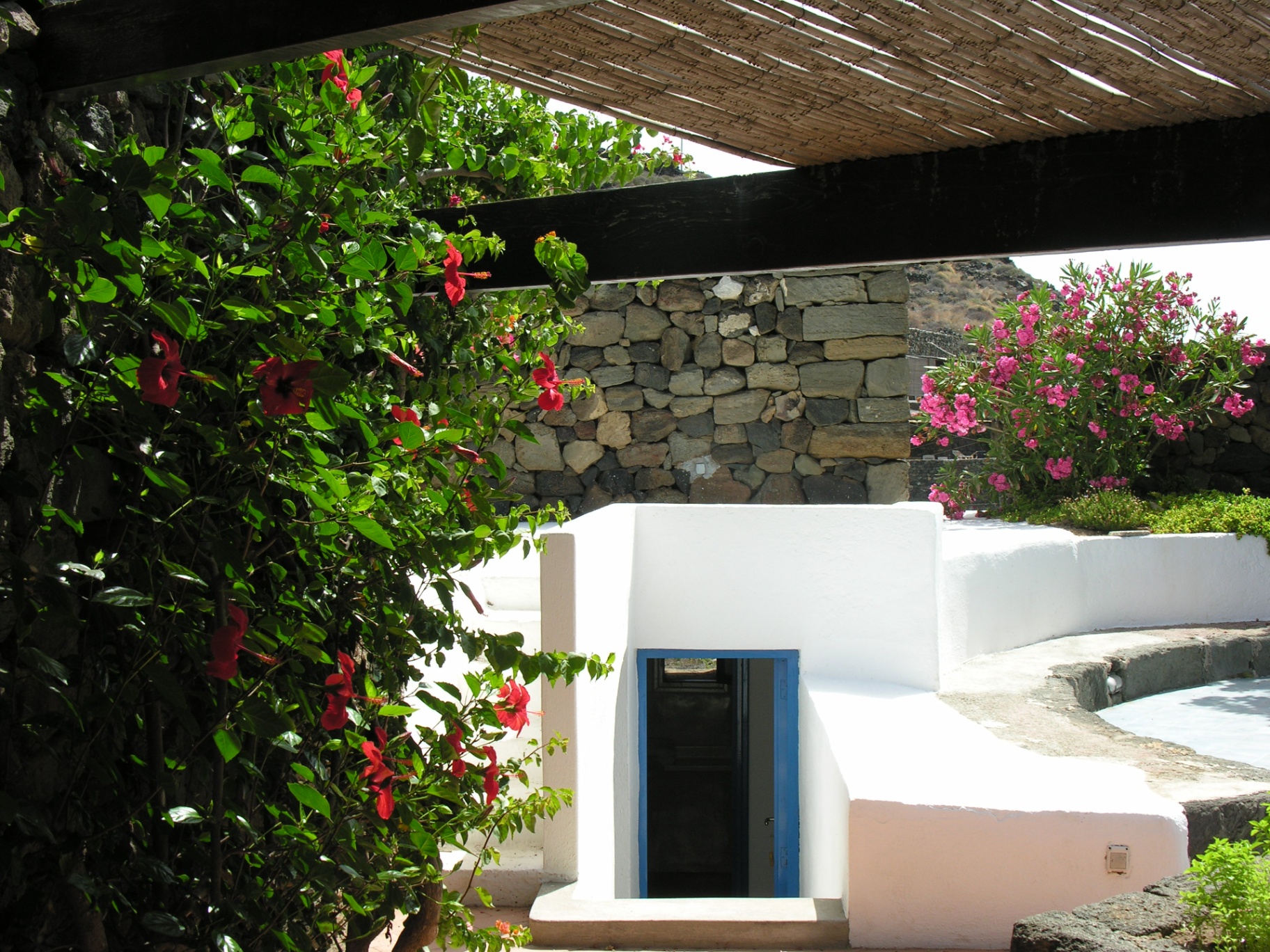 Entrance to the Boathouse with whitewashed walls, blue door, hibiscus and oleander